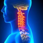 massage the atlas vertebra