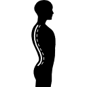 A chiropractor treats the entire spine and musculoskeletal system